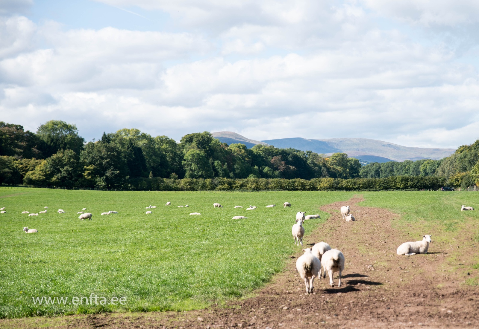 027 Living targets, first less then 9 m